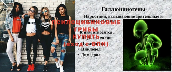 прущая мука Надым